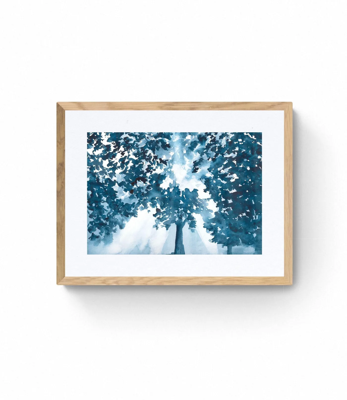 Blue Tree Canopy Leaves