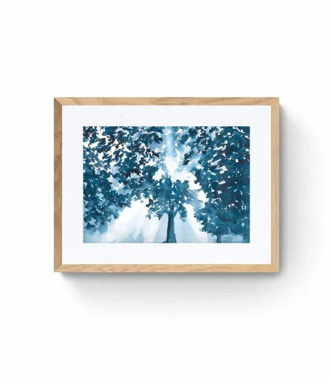 Blue Tree Canopy Leaves