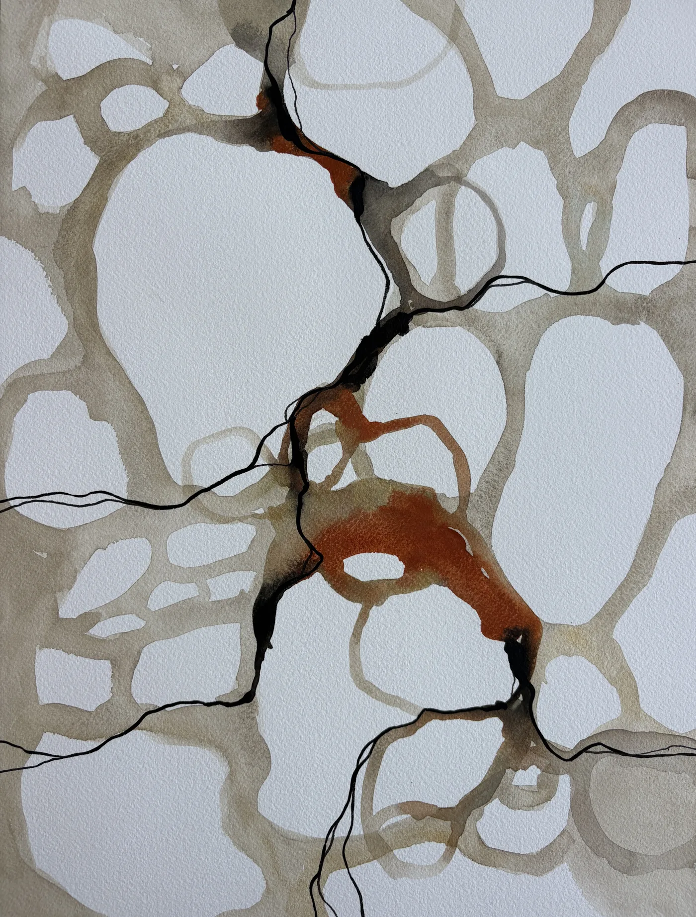 Fluid Organic Shapes in Earth Tones