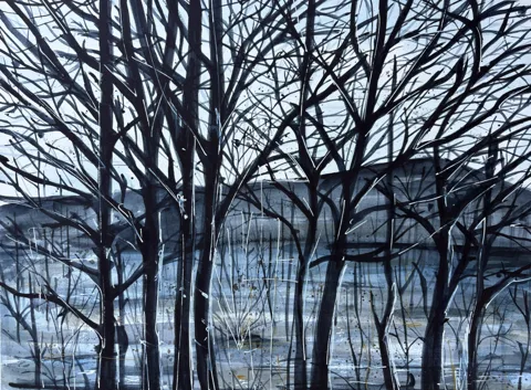 Winter Forest Bare Trees Blue and Black